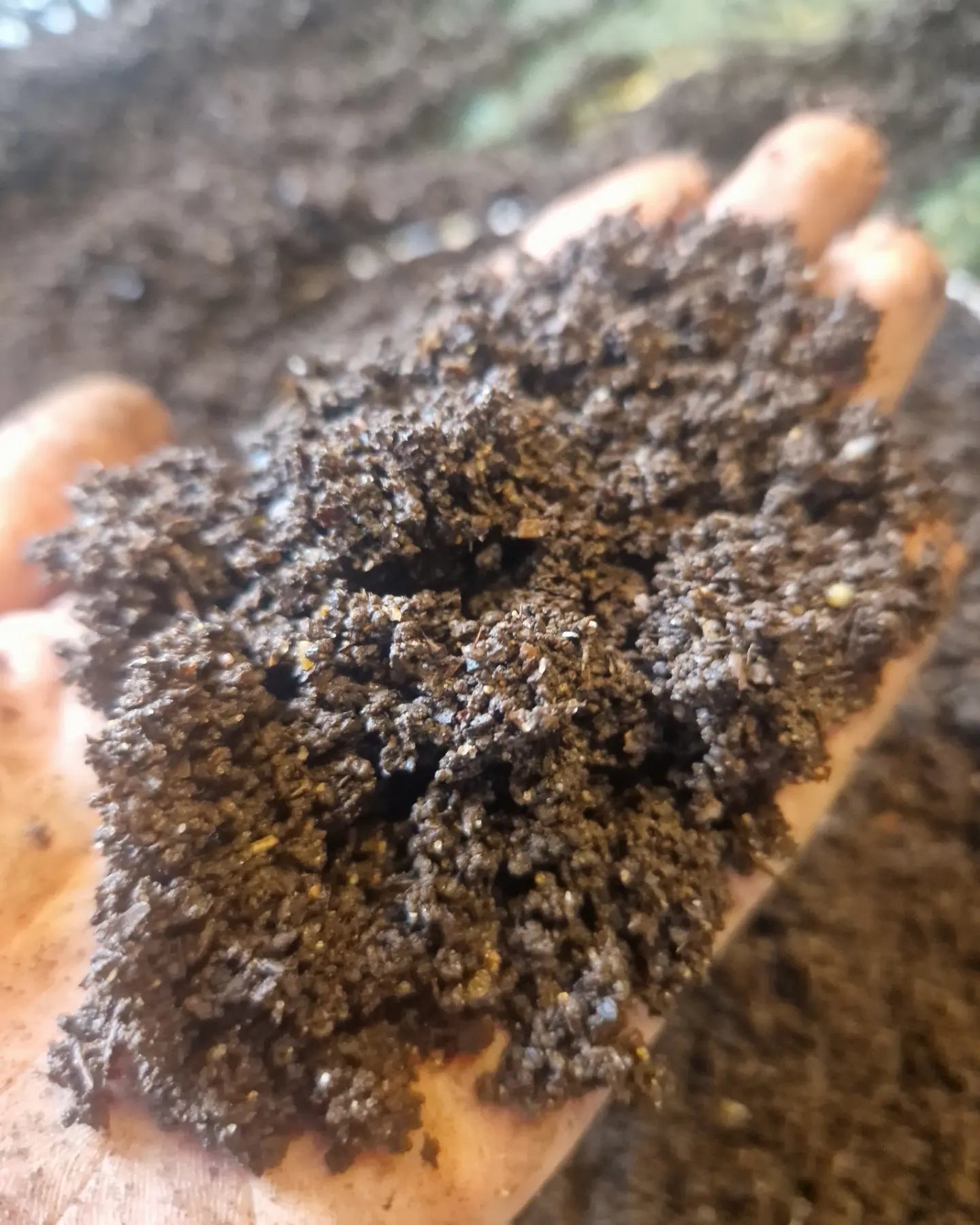 Premium Vermicompost Worm Castings - Organic Lightly Amended