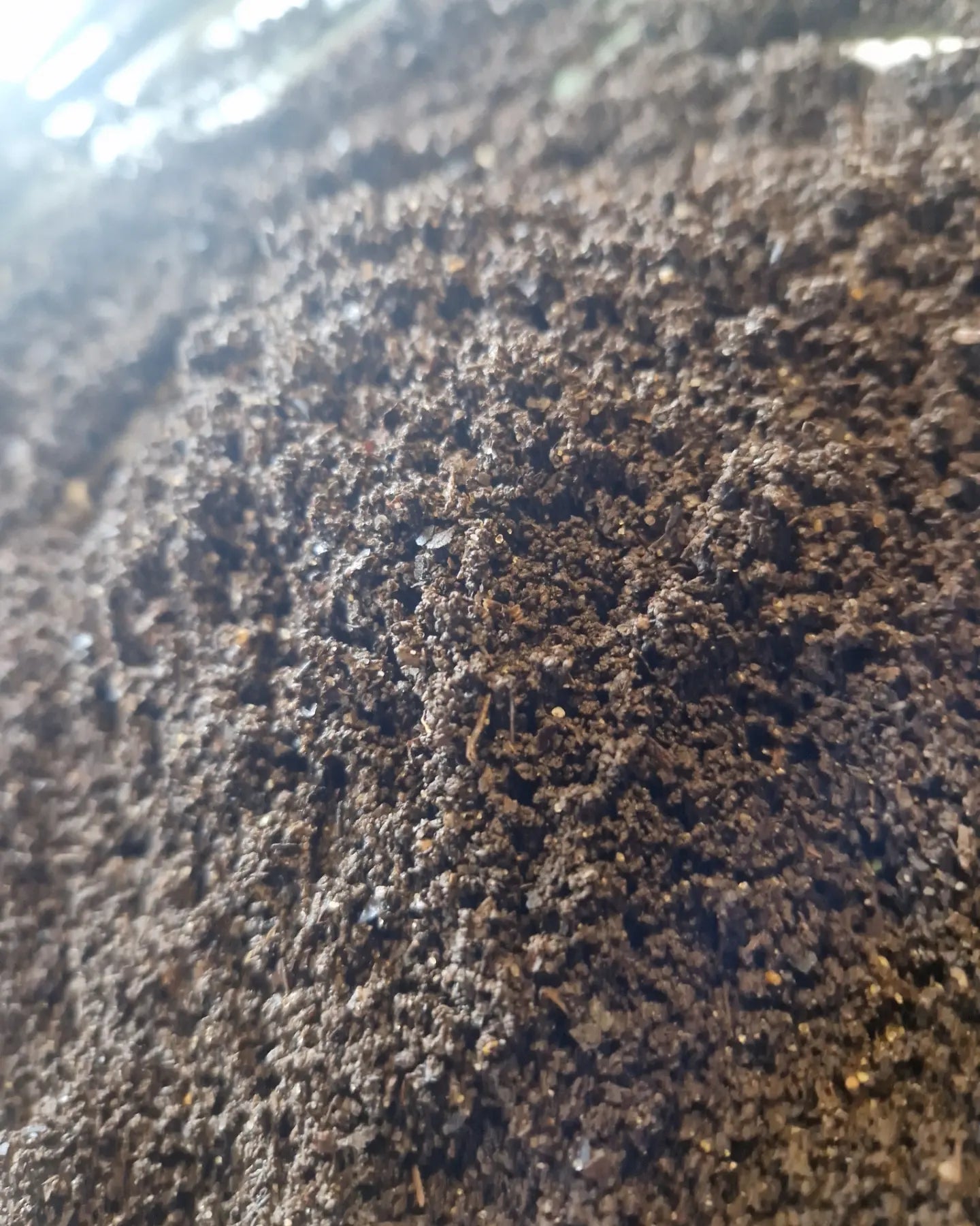 Premium Vermicompost Worm Castings - Organic Lightly Amended